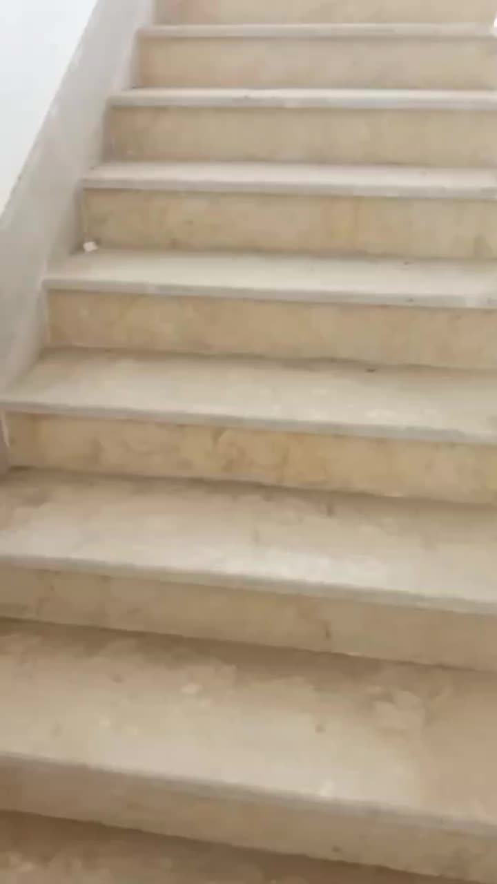 دو دربندمغازه تجاری در مجتمع پرچم متری 30|فروش مغازه و غرفه|گلبهار, شهر جدید گلبهار|دیوار