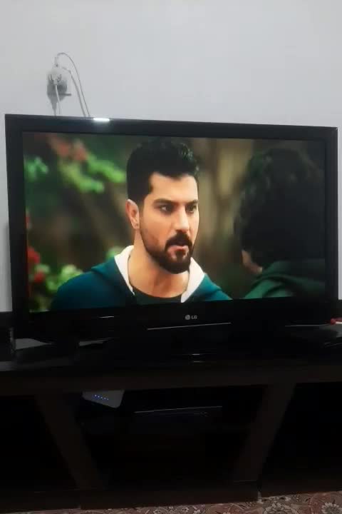 تلوزیون|تلویزیون و پروژکتور|خرم‌آباد, |دیوار