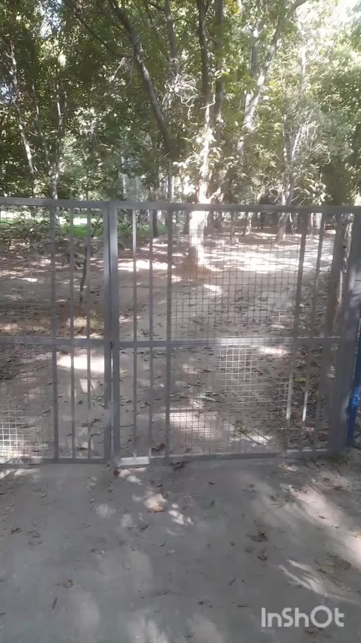 فروش باغ گردشگری لب اب دارای پنج سکو و فنس|فروش زمین و ملک کلنگی|سامان, |دیوار