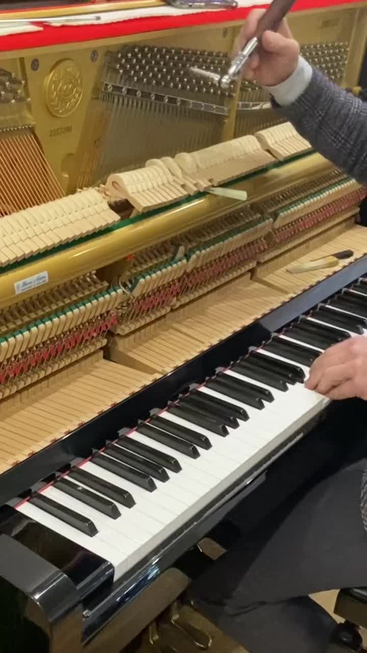 کوک و رگلاژ و کارشناسی پیانو آکوستیک|پیانو، کیبورد، آکاردئون|ارومیه, |دیوار