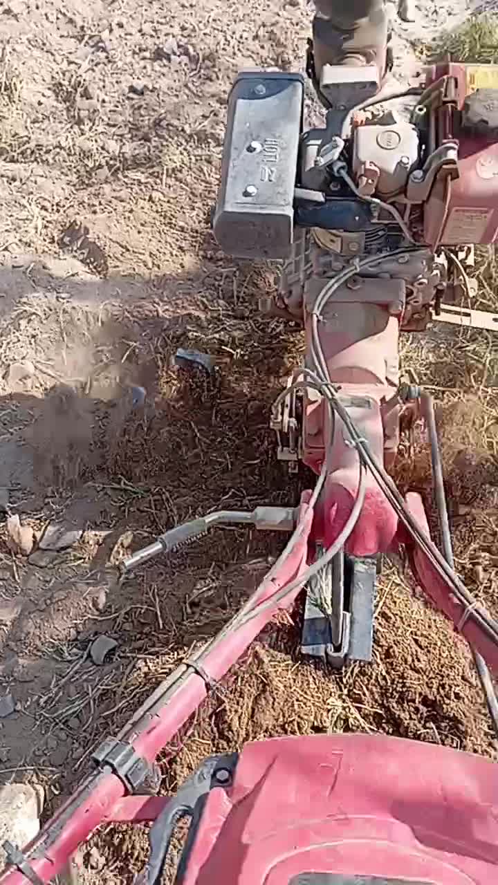 انجام تیلرزنی|خدمات باغبانی و درختکاری|بیرجند, |دیوار