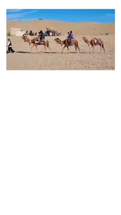 تور یک روزه کویر ابوزیدآباد و کاشان گردی|تور و چارتر|زنجان, |دیوار