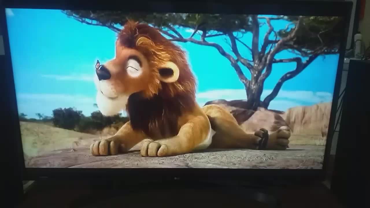 الیدی۵۵الجی درحد4kهوشمنداندرویدفول نونو|تلویزیون و پروژکتور|پاکدشت, پاکدشت (مامازند)|دیوار