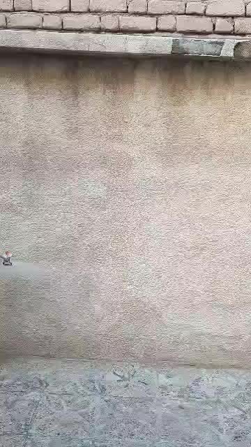 ایرلس اوزیتو ۷۰۰ وات|ابزارآلات|سنندج, |دیوار