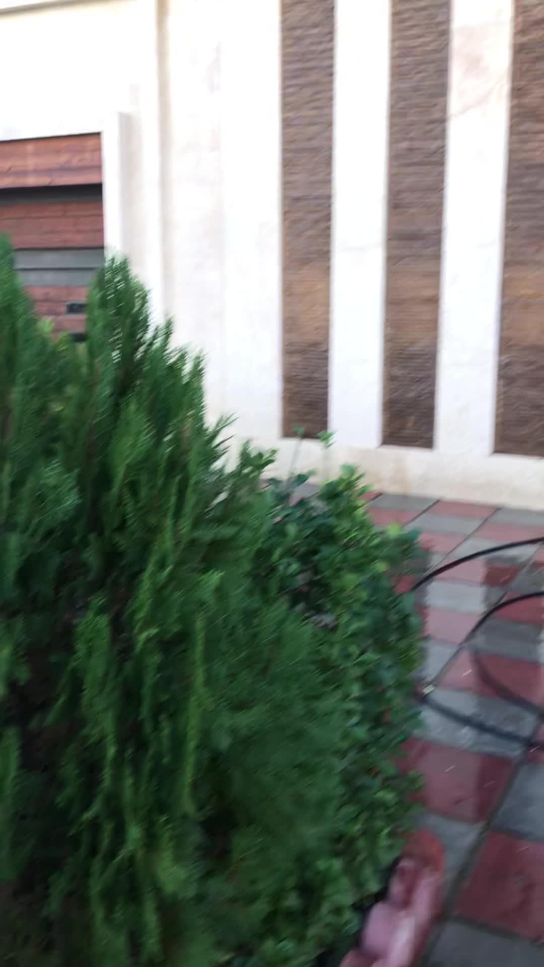 پیچ رولپلاک سنگ نما راپل کار با طناب ارتفاع اسکوپ|خدمات پیشه و مهارت|تهران, تهرانپارس غربی|دیوار