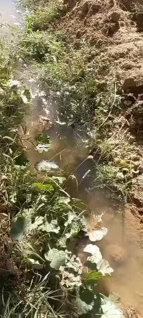 باغ 2000 متری فنس کشی شده در غرق آباد ساوه|فروش زمین و ملک کلنگی|نوبران, |دیوار