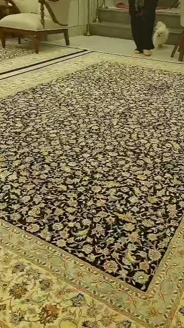 سگ پامر خرسی اصل با شناسنامه|سگ|ساوه, |دیوار