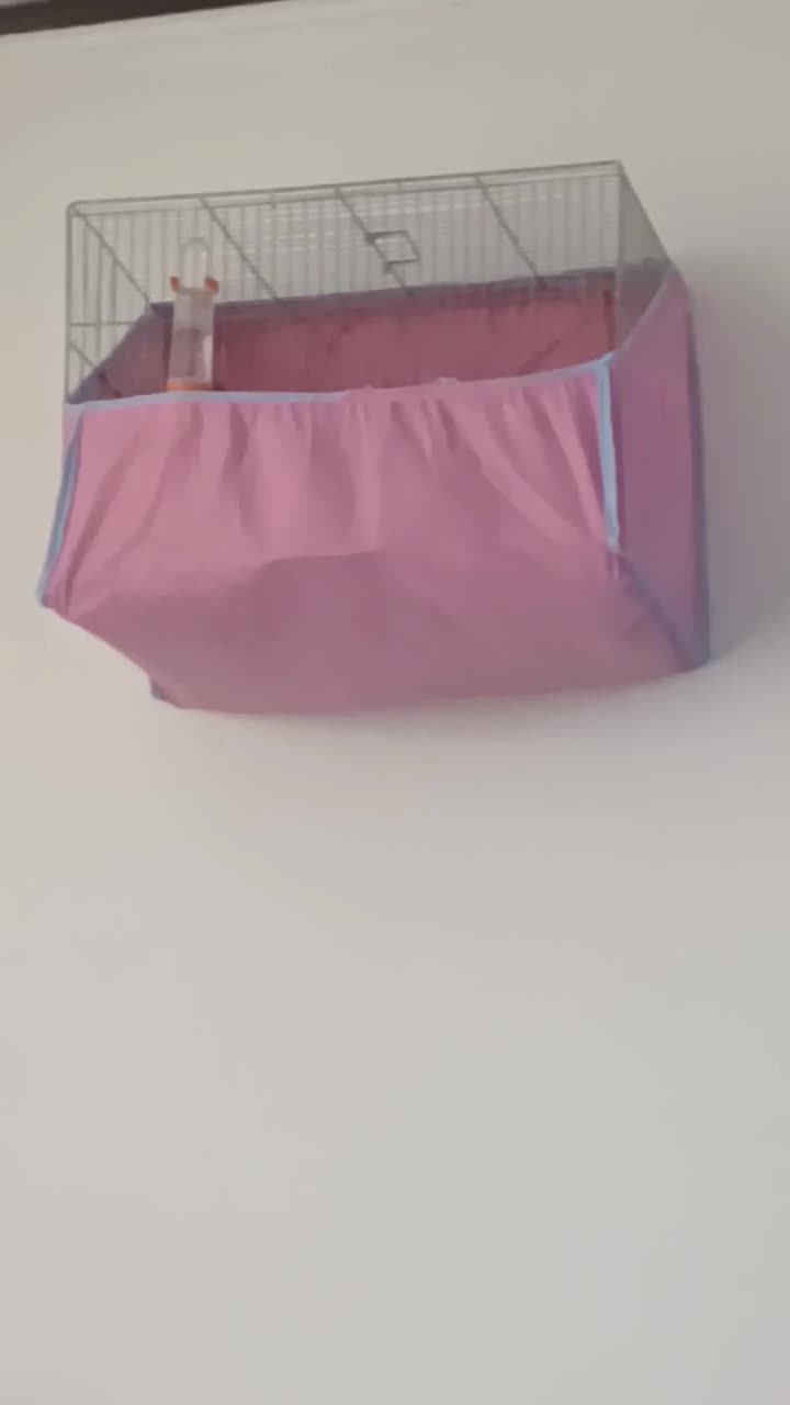 قناری|پرنده|مشکین‌دشت, |دیوار