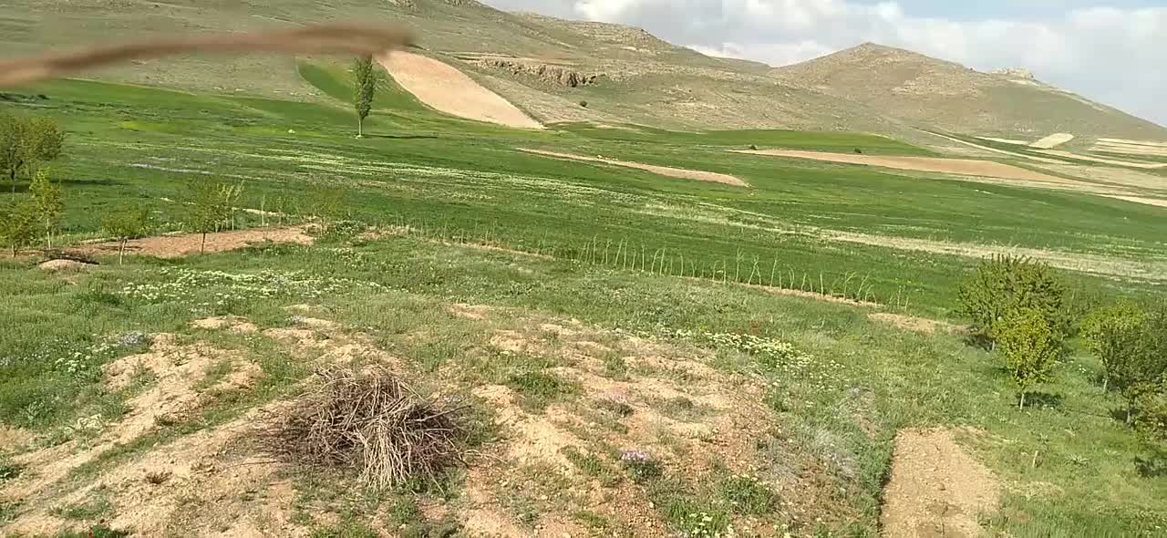 باغ|فروش دفتر صنعتی، کشاورزی، تجاری|ماهنشان, |دیوار