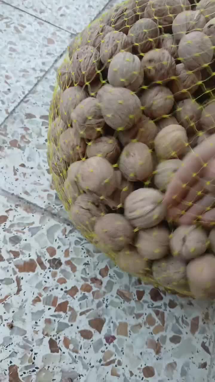 گردو|خوردنی و آشامیدنی|الشتر, |دیوار