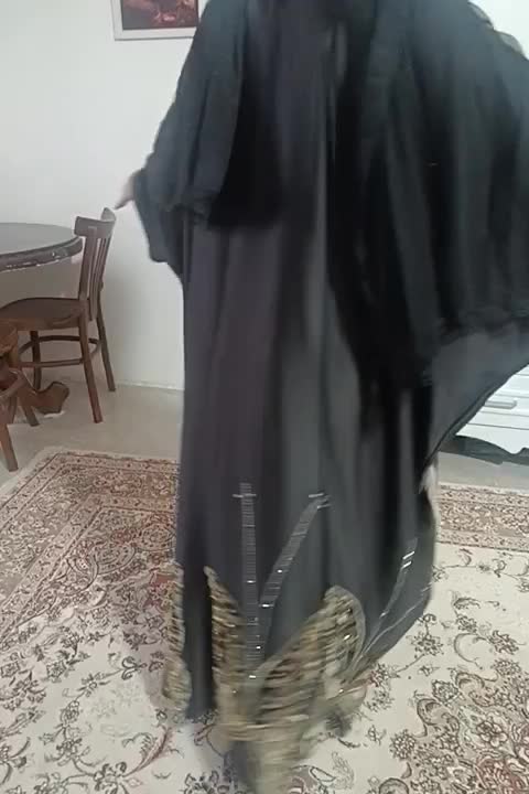 عبای مجلسی|لباس|بهارستان, |دیوار