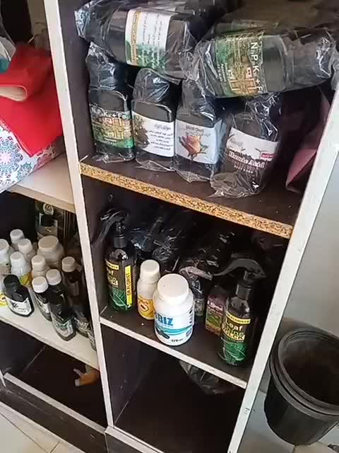 گل  و گلدان|گل و گیاه طبیعی|شاهین دژ, |دیوار