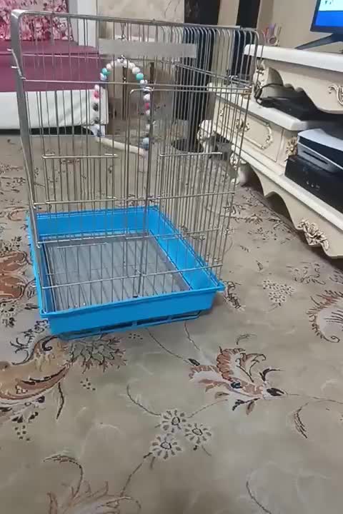 قفس پرنده|لوازم جانبی حیوانات|تهران, باغ خزانه|دیوار