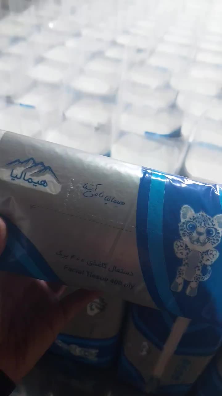 دستمال کاغذی اقتصادی|مواد شوینده و دستمال کاغذی|خسروشاه, |دیوار