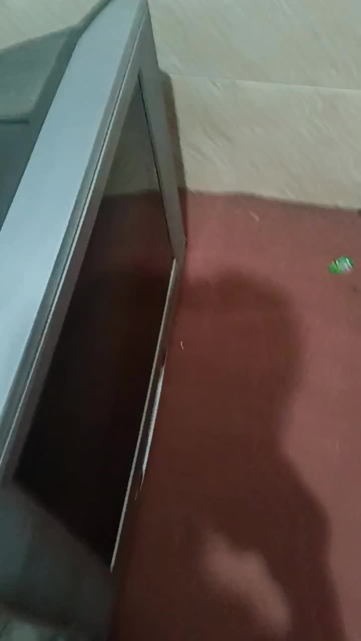 تلویزیون پاناسونیک|تلویزیون و پروژکتور|بندر گناوه, |دیوار