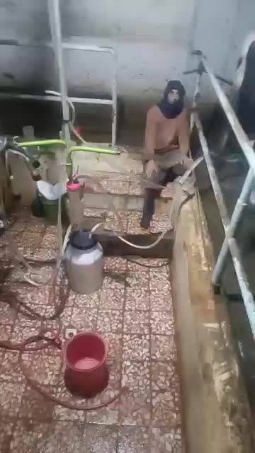 مخزن شیر،شیردوش،سردکن|ماشینآلات صنعتی|شهرضا, |دیوار