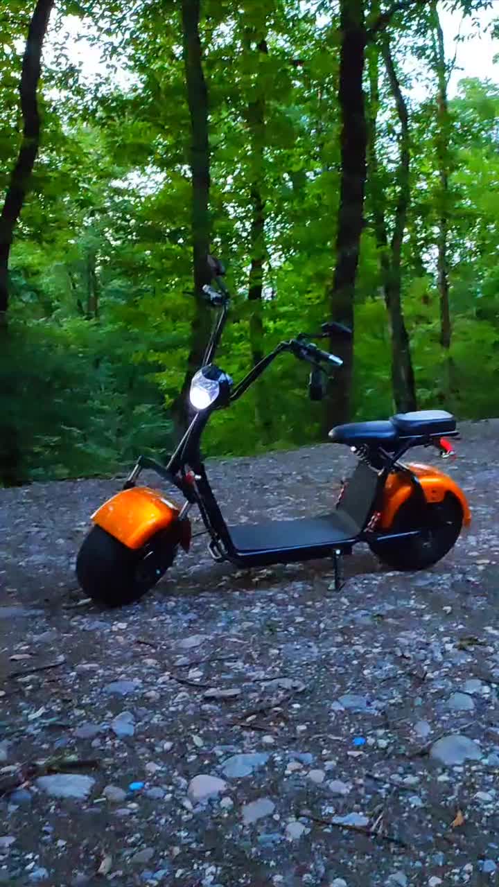 اسکوتر برقی آلمانی|دوچرخه، اسکیت، اسکوتر|گرگان, |دیوار