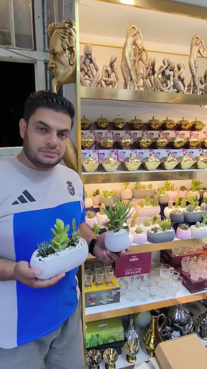 گل کاکتوس با گلدان خاص مینیمال عمده و تک«امید دکور|گل و گیاه طبیعی|مشهد, شهرک رازی (شهرک غرب)|دیوار
