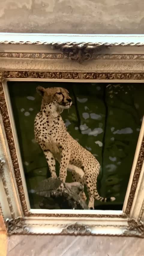 تابلو فرش دست بافت|تابلو فرش|تهران, زعفرانیه|دیوار