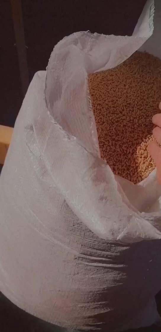 گندم برات بذری درجه یک یک|خدمات باغبانی و درختکاری|شوشتر, |دیوار