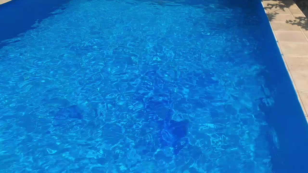 اجاره باغ استخردار شروع قیمت از یک میلیون تومان|اجارهٔ کوتاهمدت ویلا و باغ|کرمانشاه, |دیوار