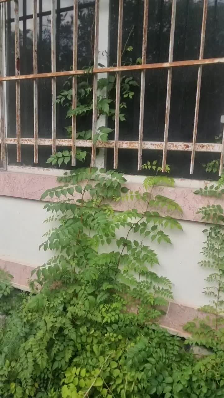 ویلا فروشی|فروش خانه و ویلا|عباسآباد, |دیوار