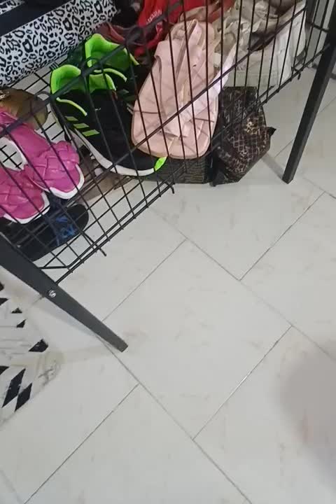 سبد حراجی لباس|فروشگاه و مغازه|پردیس, فاز ۱۱|دیوار