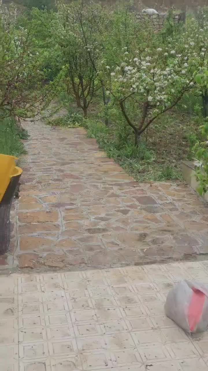 خانه باغ ۳۵ متری باغ۱۰۰۰ متری|فروش خانه و ویلا|بجنورد, |دیوار