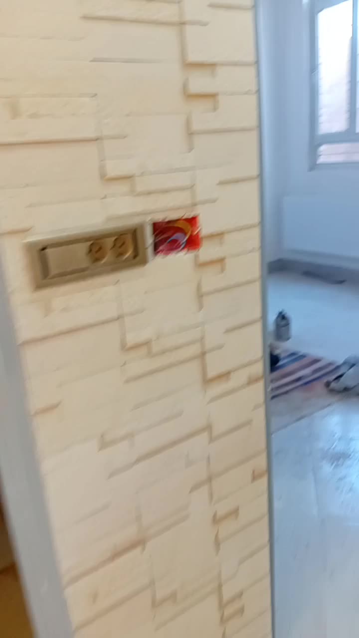 گچ کاری گچکاری|خدمات پیشه و مهارت|بیرجند, |دیوار