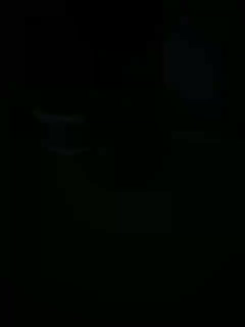 گربه خانگی|گربه|شیراز, کیان آباد|دیوار