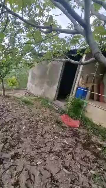 باغ ویلا خانه|فروش خانه و ویلا|گرمدره, |دیوار