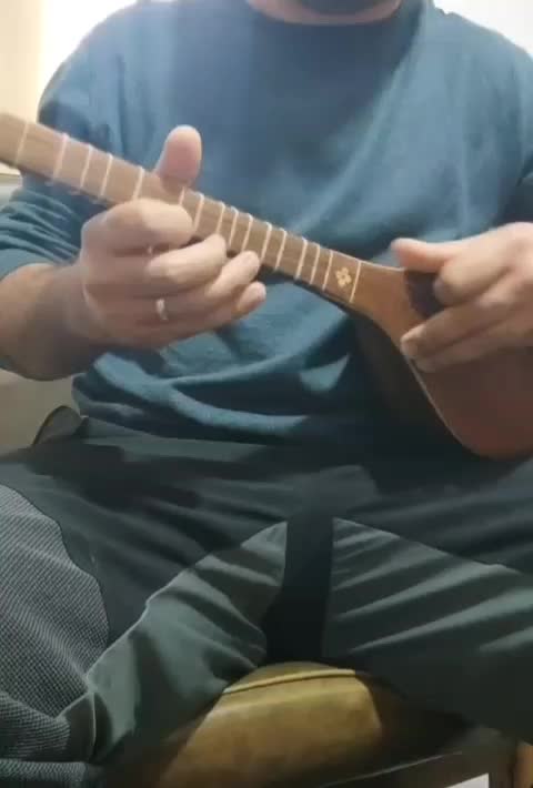 سه تار حرفه ای|سازهای سنتی|ایذه, |دیوار