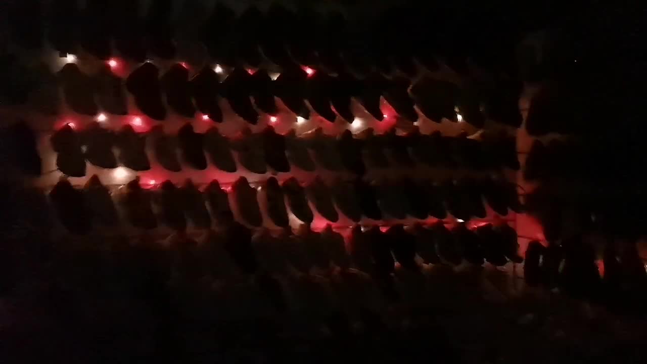 فروش عمده و باهم کفش|کفش و لباس بچه|مرودشت, تخت جمشید|دیوار