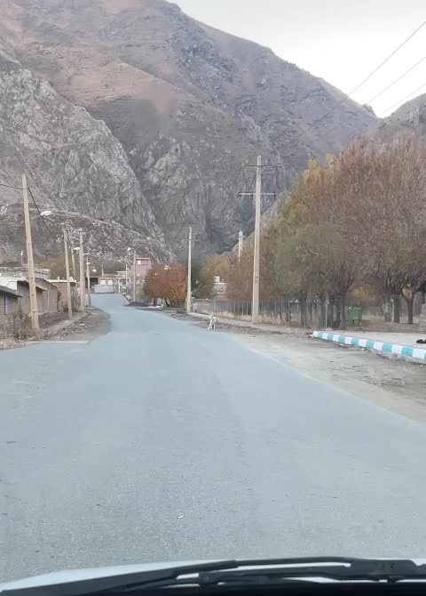 زمین مسکونی|فروش زمین و ملک کلنگی|پیرانشهر, |دیوار