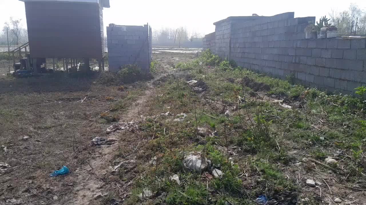 ۷۵۰ متر زمین جای بکر|فروش زمین و ملک کلنگی|رشت, حومه رشت|دیوار