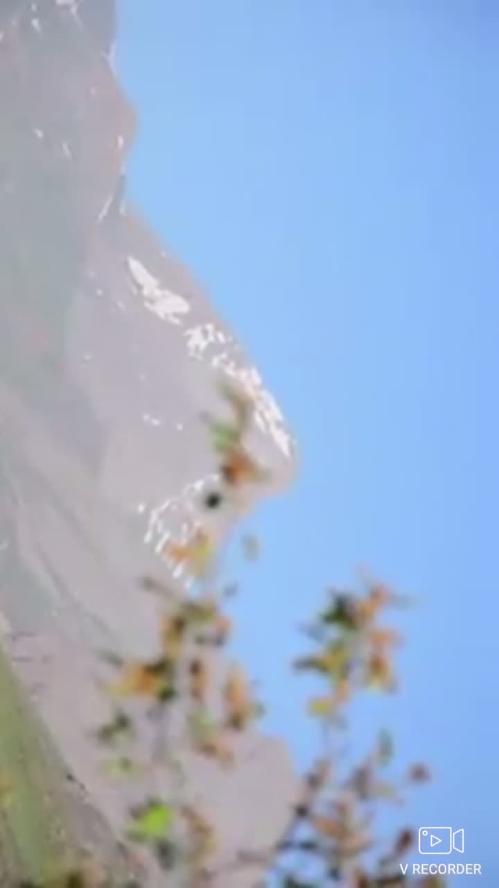 ۹۶۰ متر زمین|فروش زمین و ملک کلنگی|بلده, |دیوار