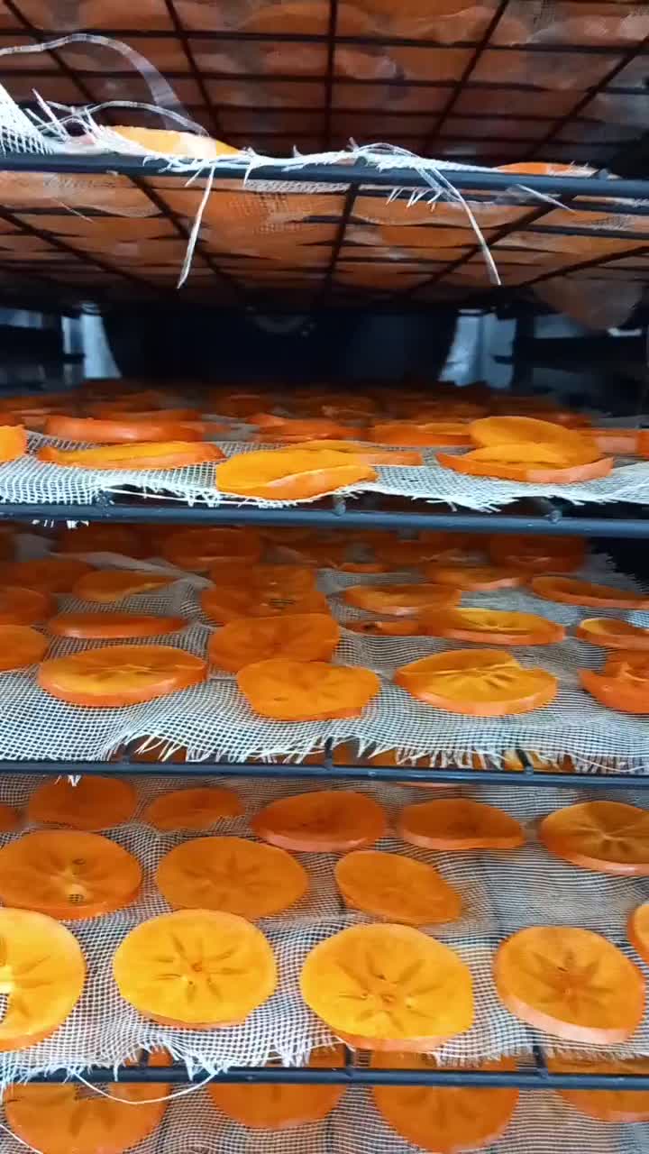 دستگاه میوه خشک کن ۸۰ سینی|ماشینآلات صنعتی|تهران, آهنگران (سراسیاب دولاب)|دیوار