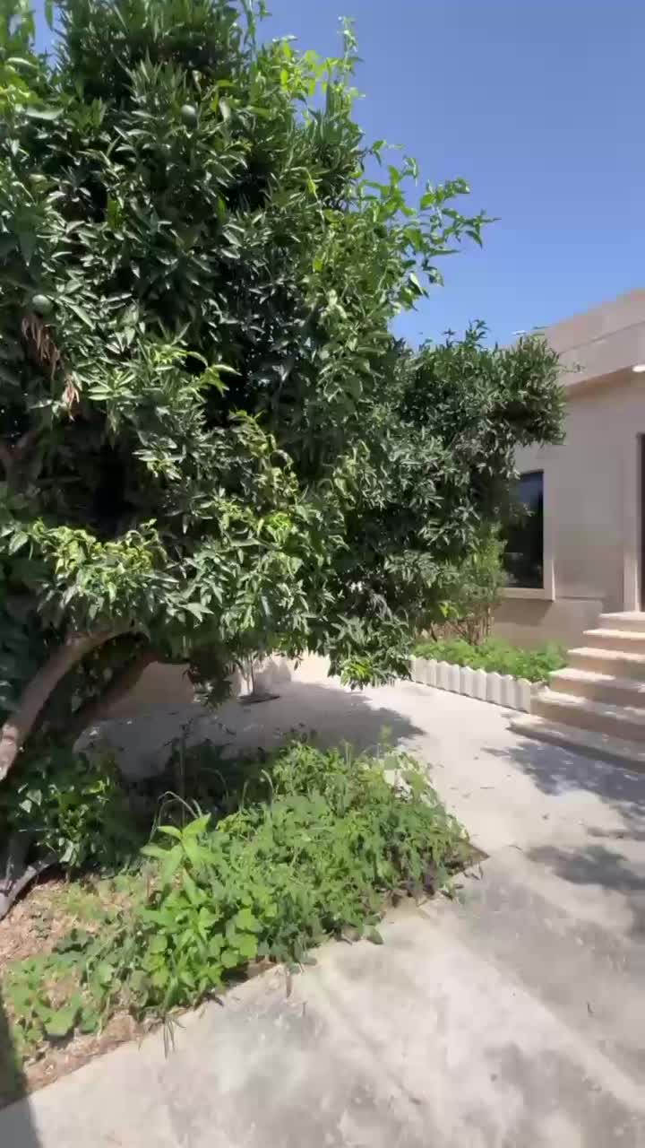 فلت نوساز با قیمت کل ۲|فروش خانه و ویلا|تهران, حکیمیه|دیوار