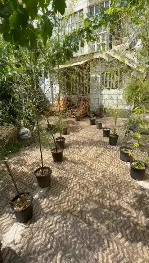 اجاره سوییت آپارتمان شبانه روزی ویلایی دربست سوئیت|اجارهٔ کوتاهمدت آپارتمان و سوئیت|کرج, جهانشهر|دیوار