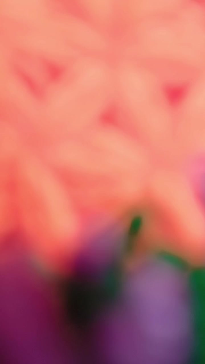 لیف ترکی کارتونی پاتریک|لوازم حمام|تبریز, |دیوار