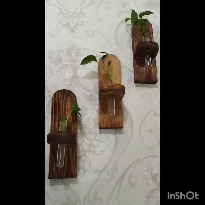 استند گل|گل و گیاه طبیعی|قم, ولیعصر|دیوار