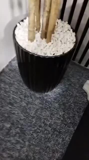 درختچه زیبا|گل و گیاه طبیعی|اهواز, حصیرآباد|دیوار