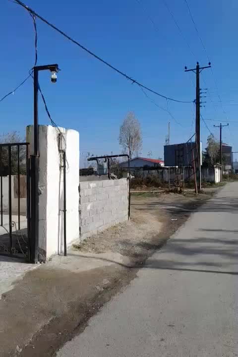 برنج هاشمی عطر دار آستارا|خوردنی و آشامیدنی|آستارا, |دیوار