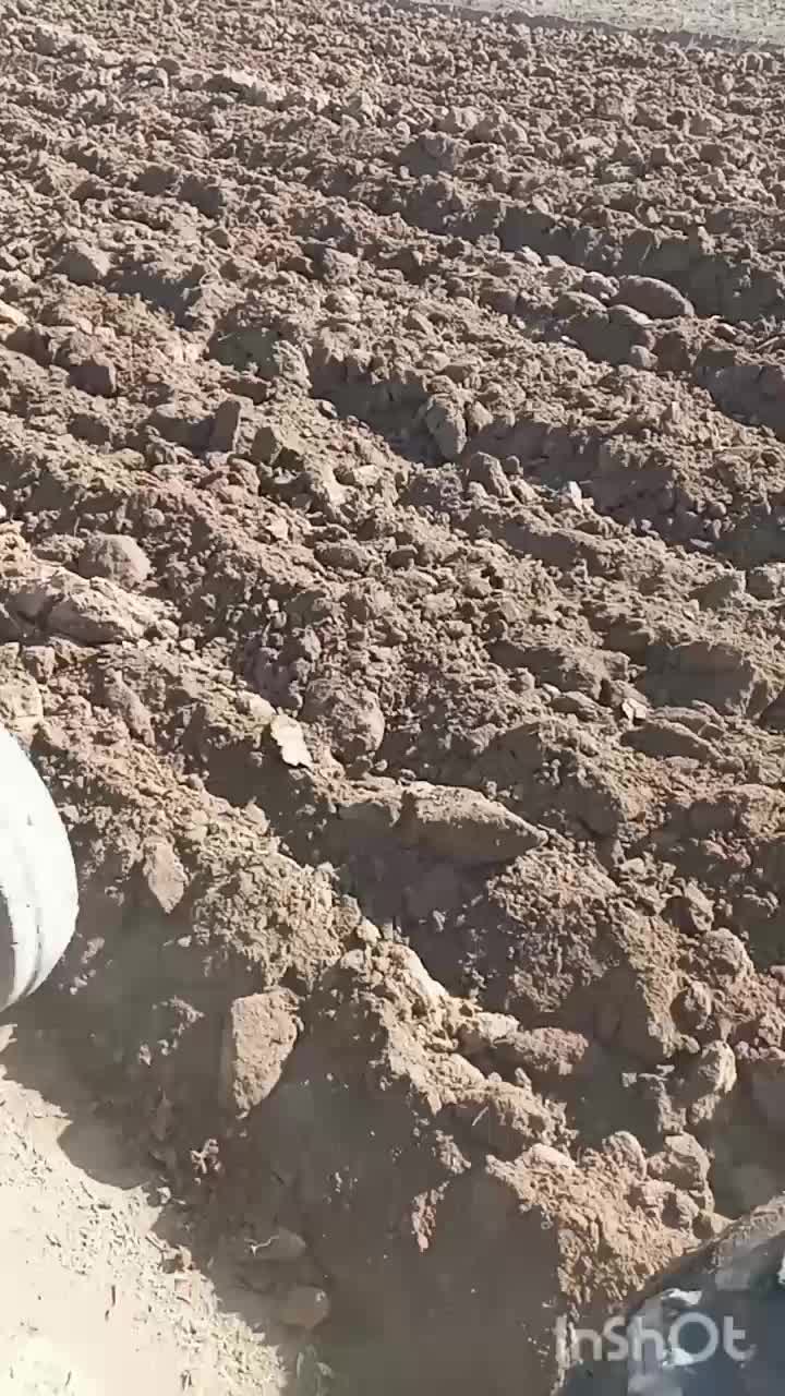 تراکتور ۲۸۵مدل ۸۲|خودرو سنگین|زرین دشت (همدان), |دیوار