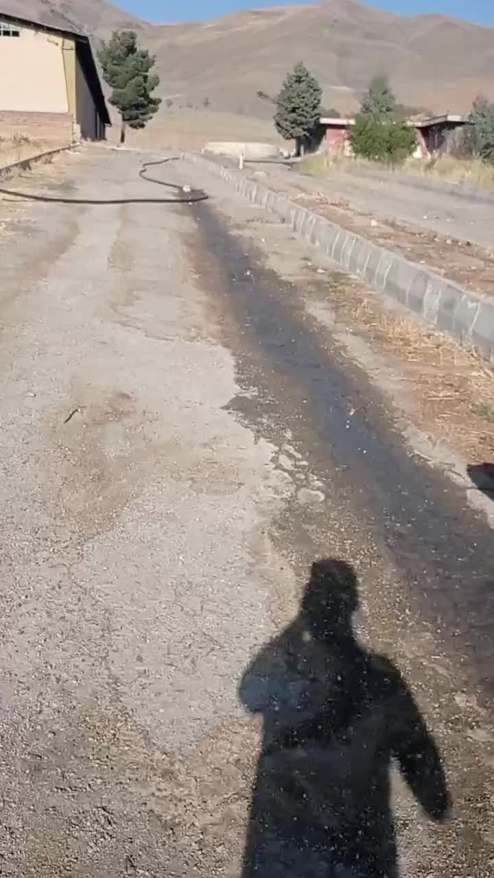 گمشده|حیوانات|شیروان (لرستان), |دیوار