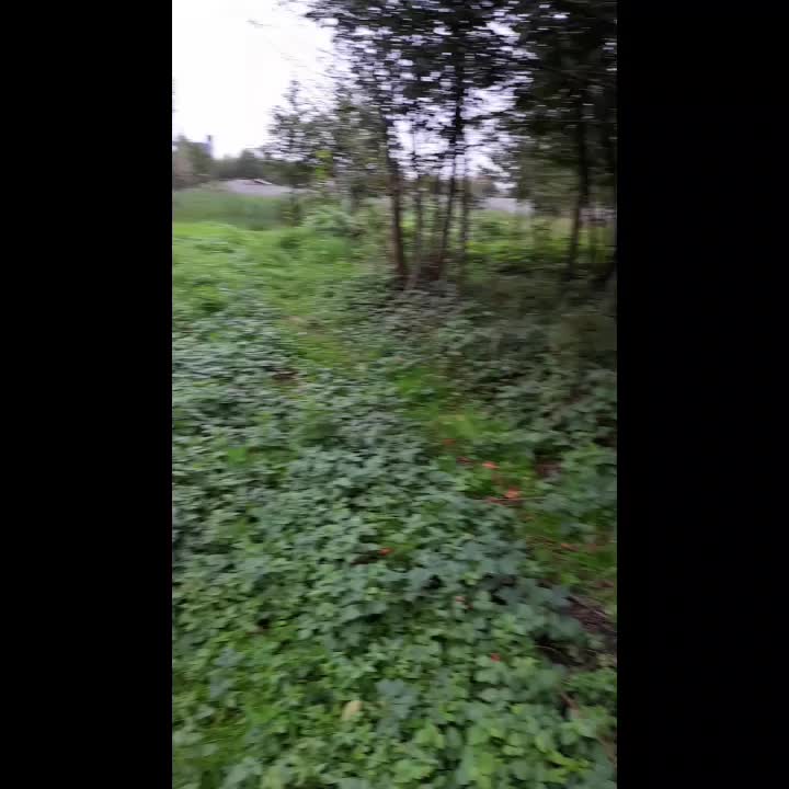 زمین ۳۴۰متر کاملا مسکونی باسند نزدیک شهر|فروش زمین و ملک کلنگی|صومعه‌سرا, |دیوار