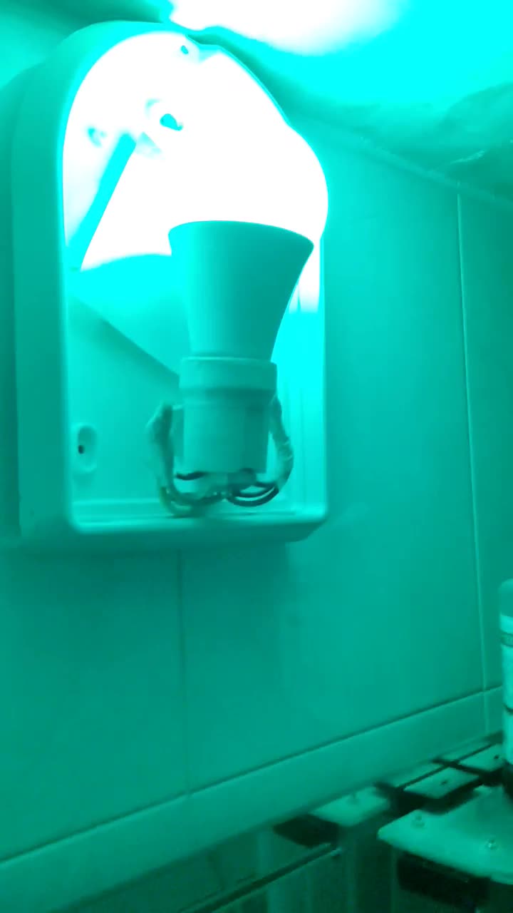 لامپ 7رنگ|لامپ و چراغ|فسا, |دیوار