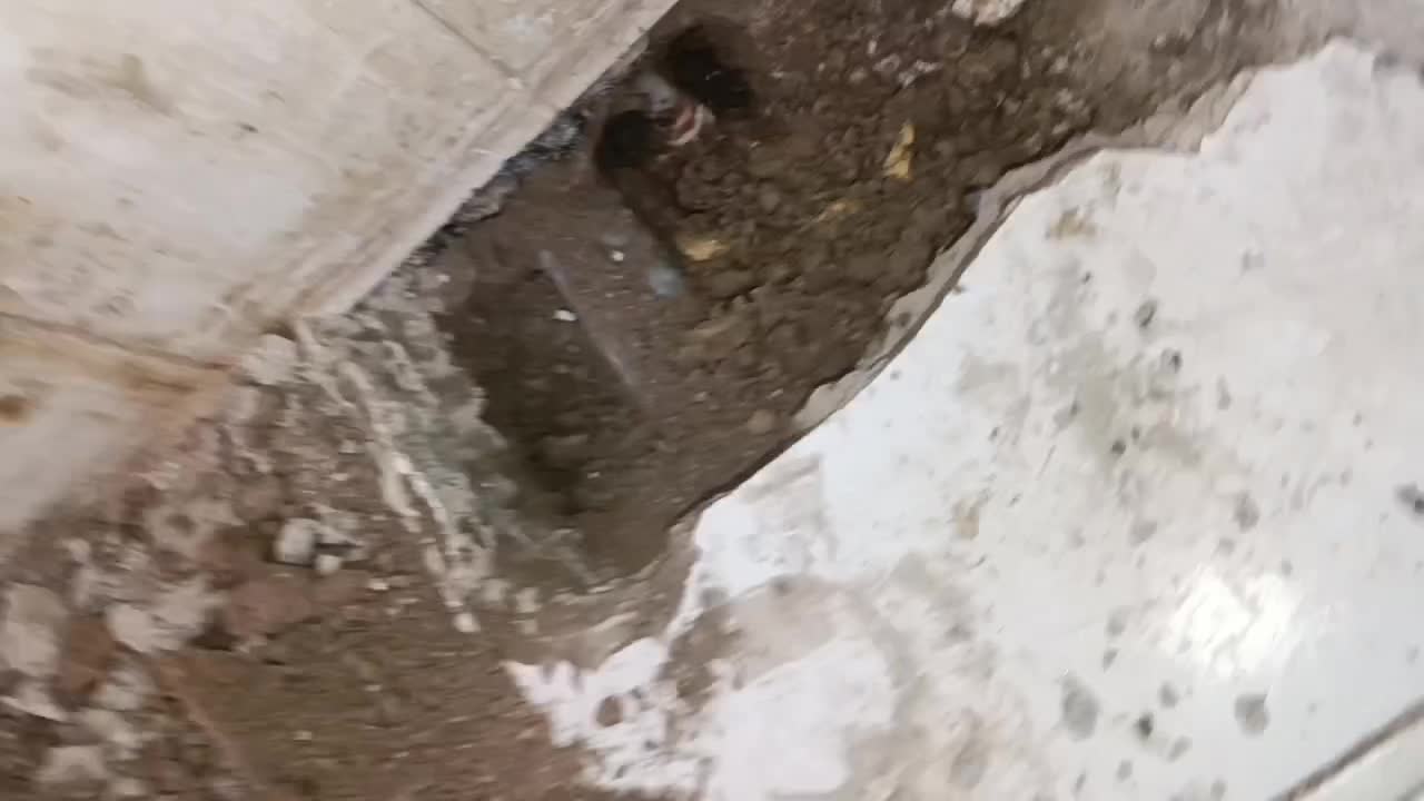 نشت یابی تشخیص ترکیدگی لوله کش چهاردانگه مرتضی گرد|خدمات پیشه و مهارت|تهران, آذری|دیوار