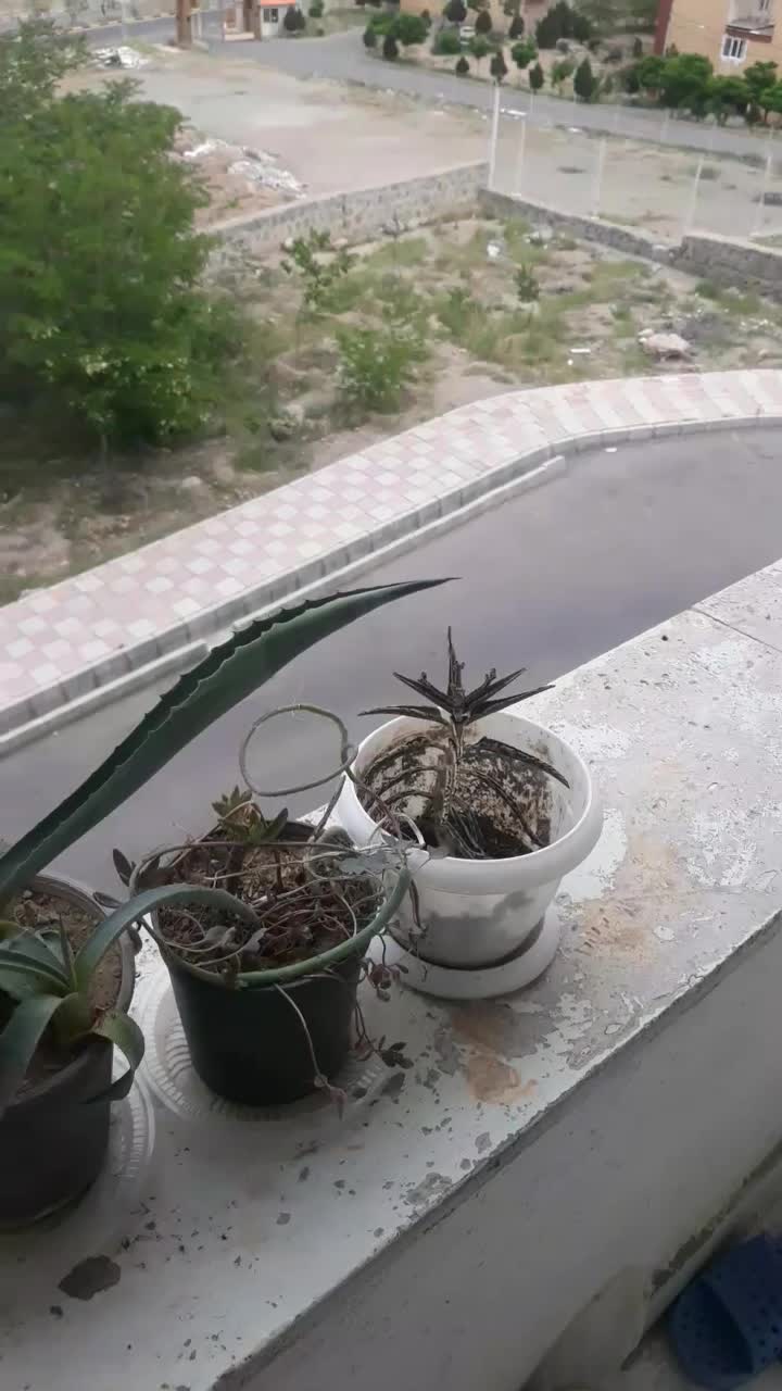 مسکن مهر ۸۴ متری فاز ۷ مهستان|فروش آپارتمان|هشتگرد, فاز ۷ مهستان|دیوار