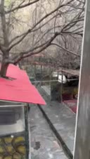 کلبه جنگلی و سویت پلخواب جاده چالوس|اجارهٔ کوتاه‌مدت آپارتمان و سوئیت|کرج, عظیمیه|دیوار